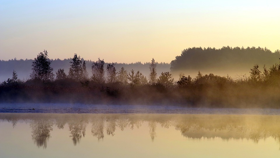 morning-3897717_960_720.jpg