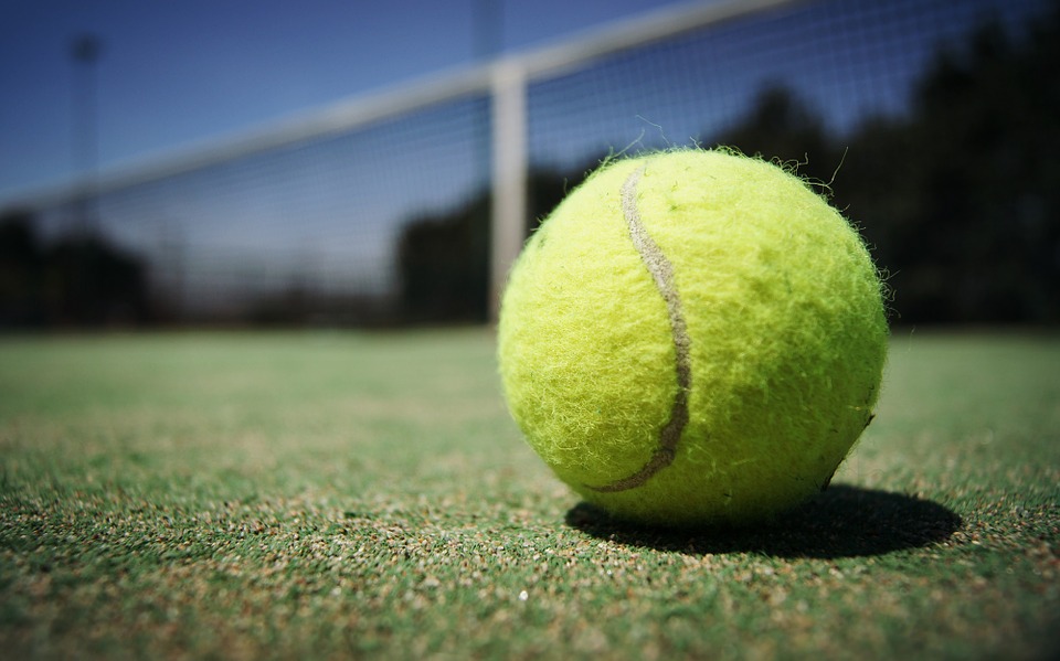 tennis-ball-984611_960_720.jpg