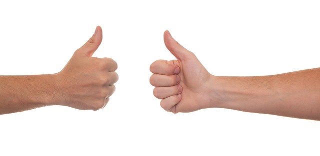 thumb-gc461f3735_640.jpg