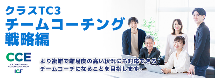 チームコーチング-戦略編(CCE)